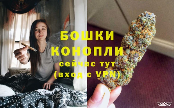 PSILOCYBIN Елизово