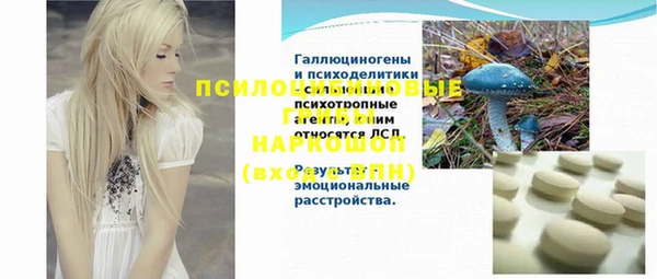 бошки Новодвинск