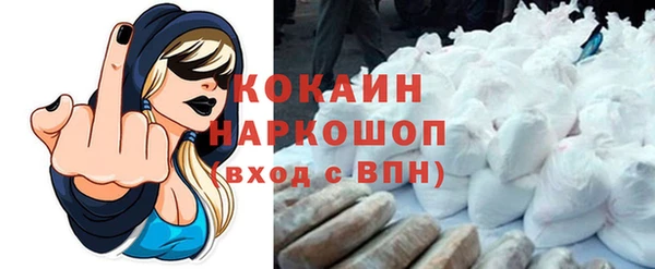 бошки Новодвинск