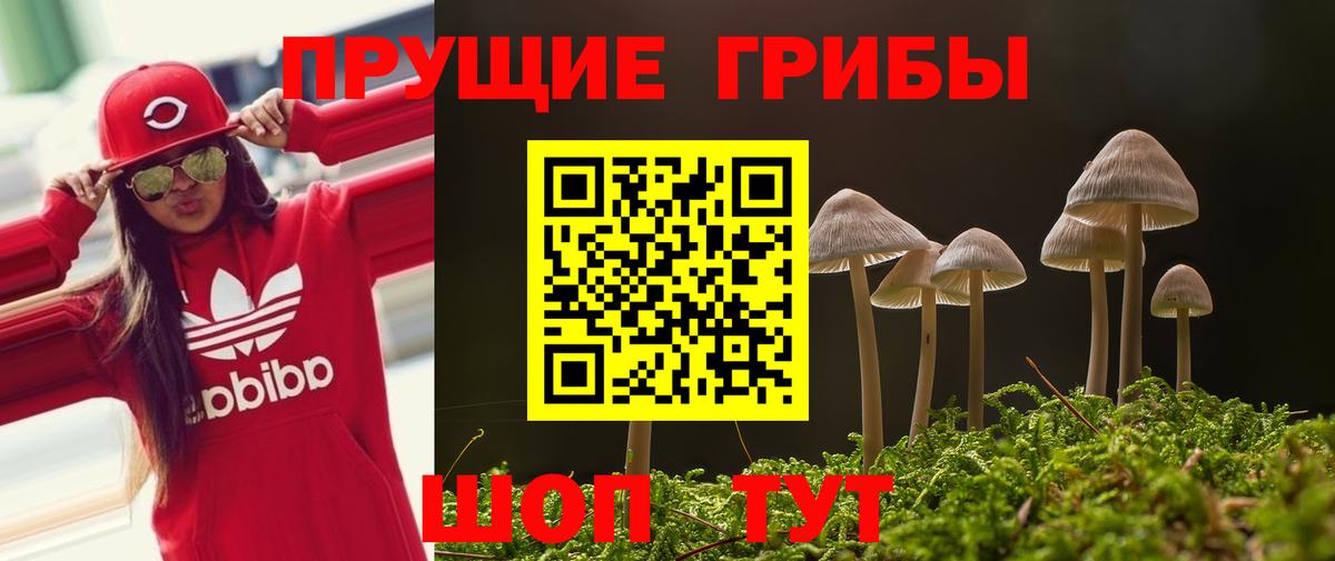 Псилоцибиновые грибы мицелий  Вход с VPN  Кореновск  Псилоцибиновые грибы Psilocybe 