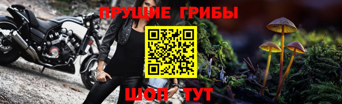 Галлюциногенные грибы Psilocybe Кореновск